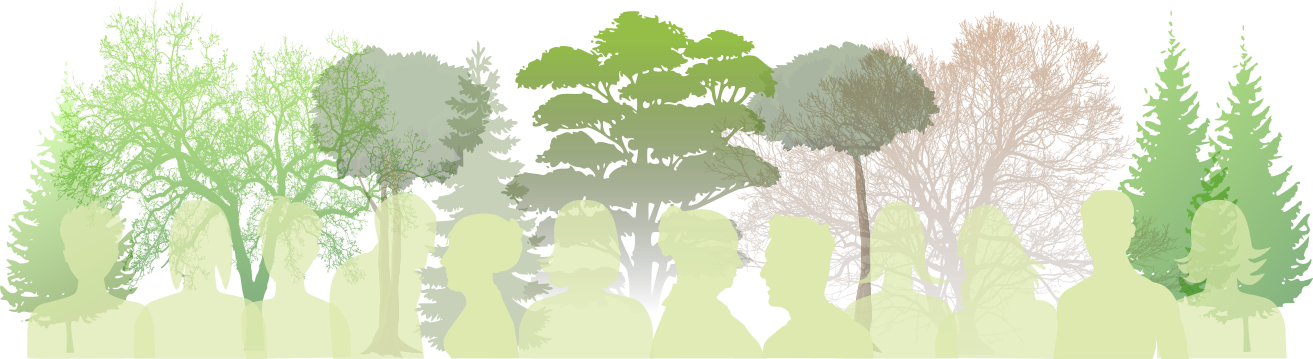 Waldbadenkurse – Rückmeldungen